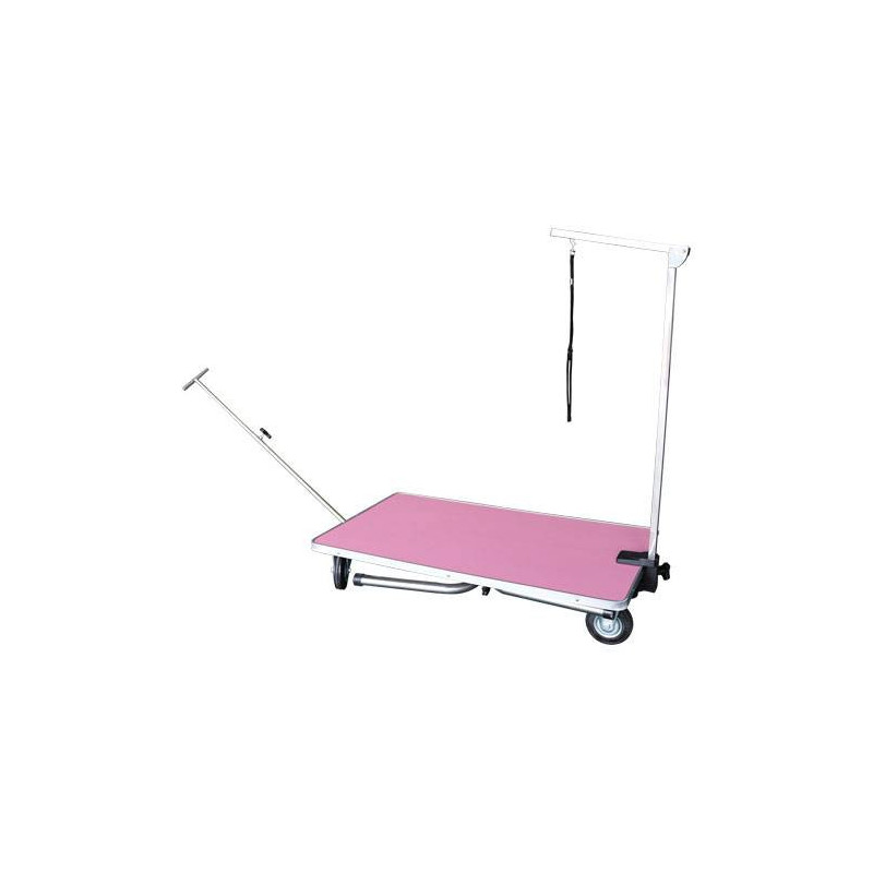 Single Gallows Folding Table with Wheels Pink