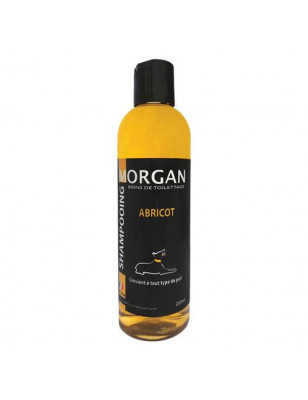 Morgan Aprikosenprotein-Shampoo