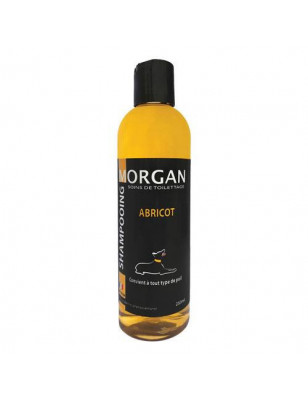 Shampoo alle proteine dell'albicocca Morgan