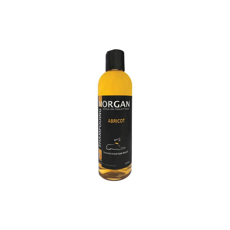 Morgan Apricot Protein Shampoo