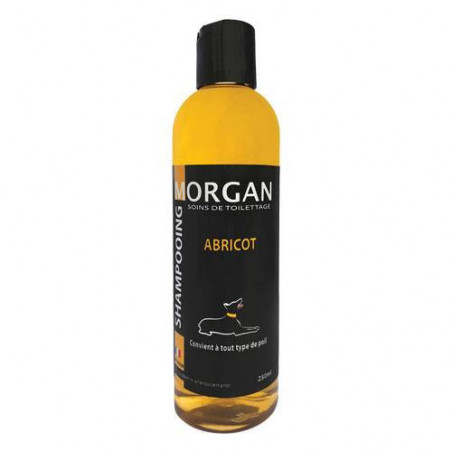 Shampooing protéiné à l'abricot Morgan