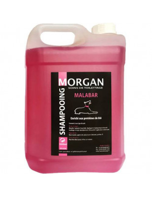 Shampooing protéiné senteur Malabar Morgan