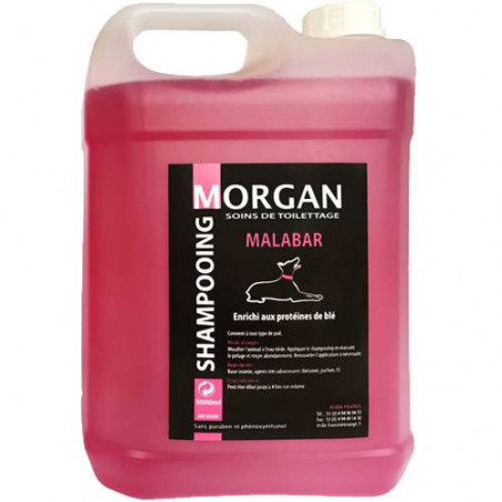 Shampooing protéiné senteur Malabar Morgan