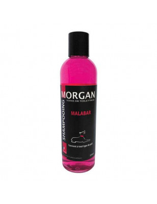 Shampooing protéiné senteur Malabar Morgan