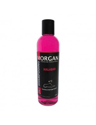 Shampoo proteico profumato Morgan Malabar