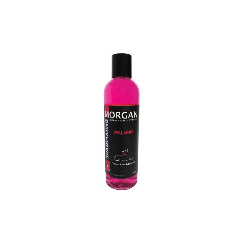 Shampooing protéiné senteur Malabar Morgan