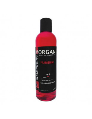 Morgan Raspberry Protein Shampoo