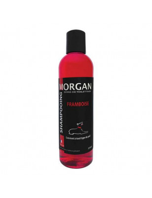Shampoo proteico Morgan al lampone