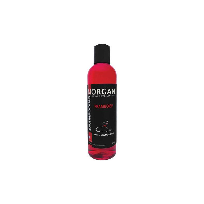 Morgan Raspberry Protein Shampoo