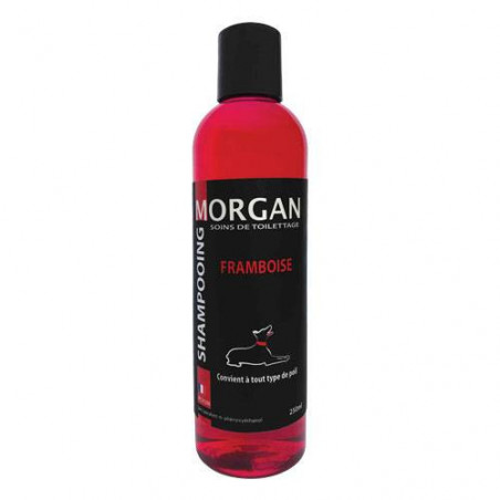 Shampooing protéiné Framboise Morgan