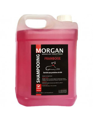 Shampooing protéiné Framboise Morgan