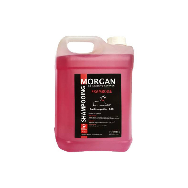 Morgan Himbeer-Protein-Shampoo Morgan Himbeer-Protein-Shampoo