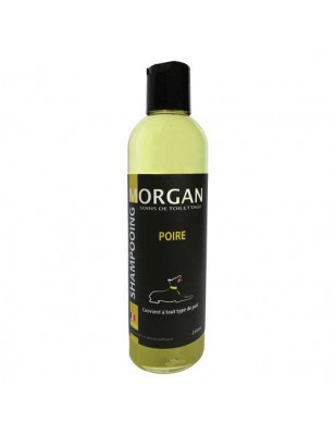 Shampooing protéiné Poire Morgan