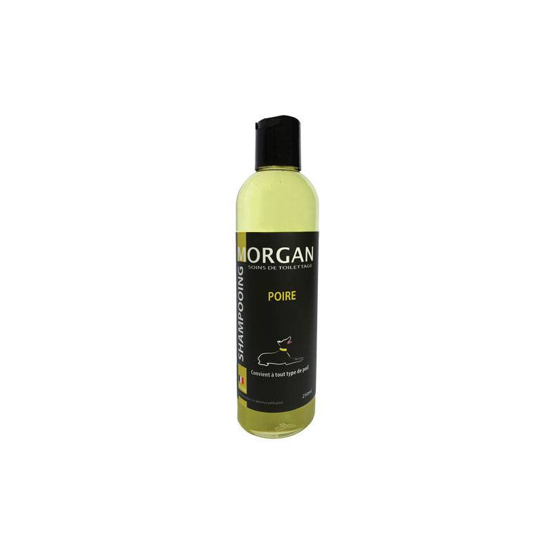 Morgan-Birnen-Protein-Shampoo Morgan-Birnen-Protein-Shampoo