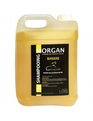 Champú de proteína de plátano Morgan