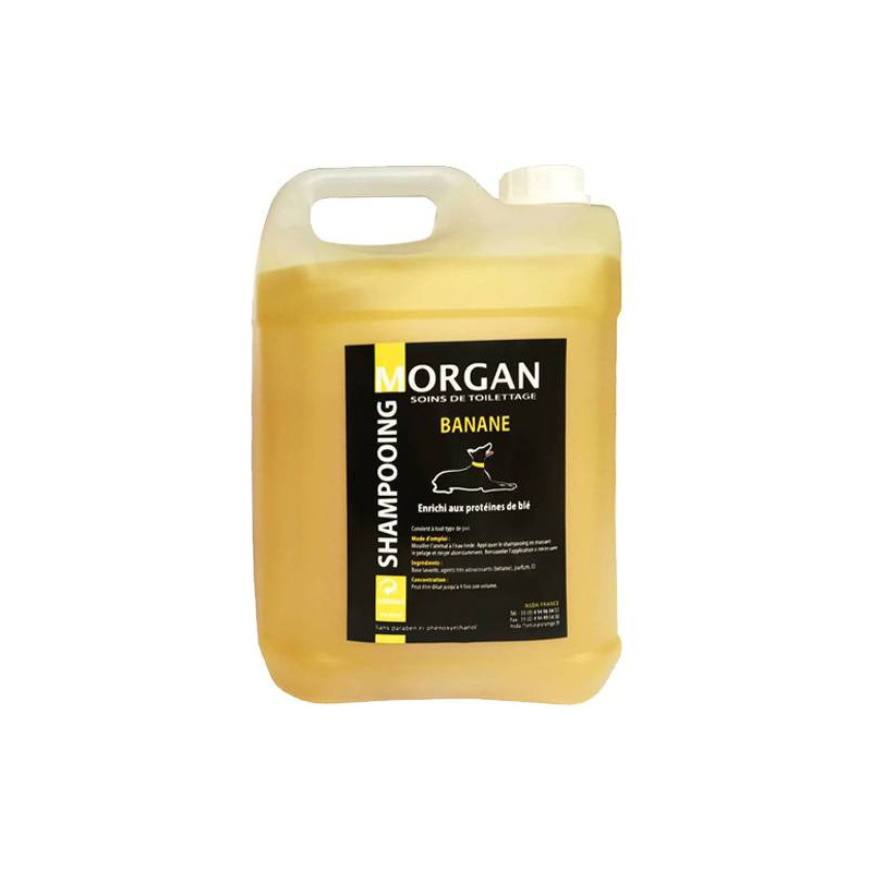 Morgan Banana Protein Shampoo