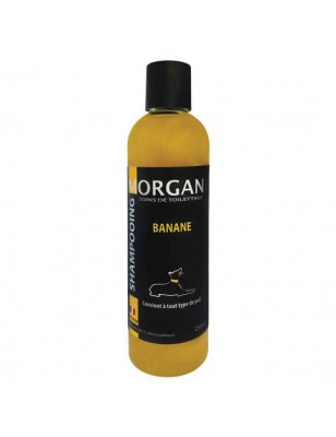 Champú de proteína de plátano Morgan