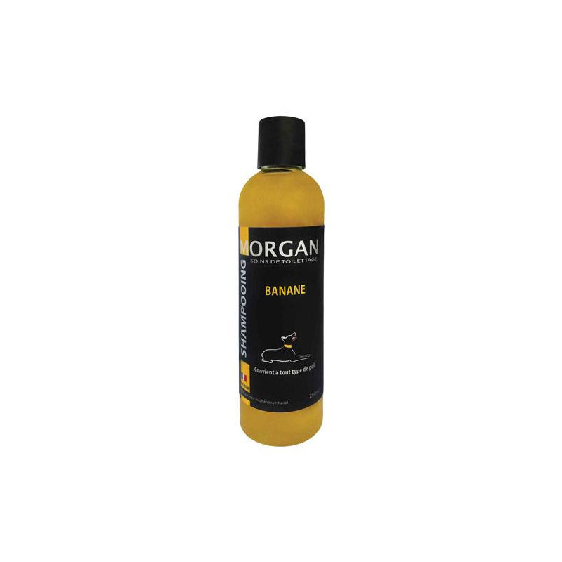 Morgan Banana Protein Shampoo