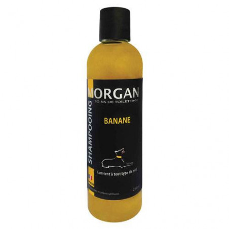 Morgan Bananenprotein-Shampoo