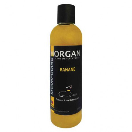 Shampooing protéiné Banane Morgan