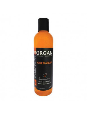 Shampoo all'olio di Argan Morgan