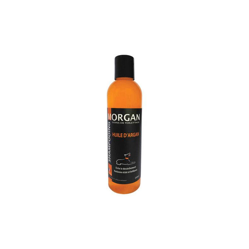 Shampoo all'olio di Argan Morgan