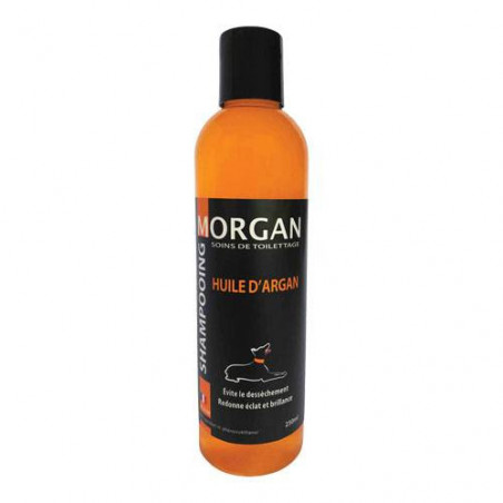 Argan-Morgan-Öl-Shampoo