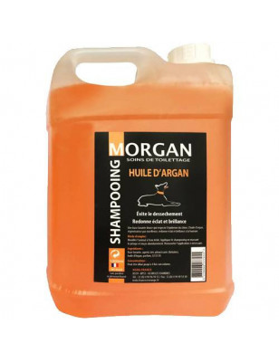 Champú de aceite de argán Morgan