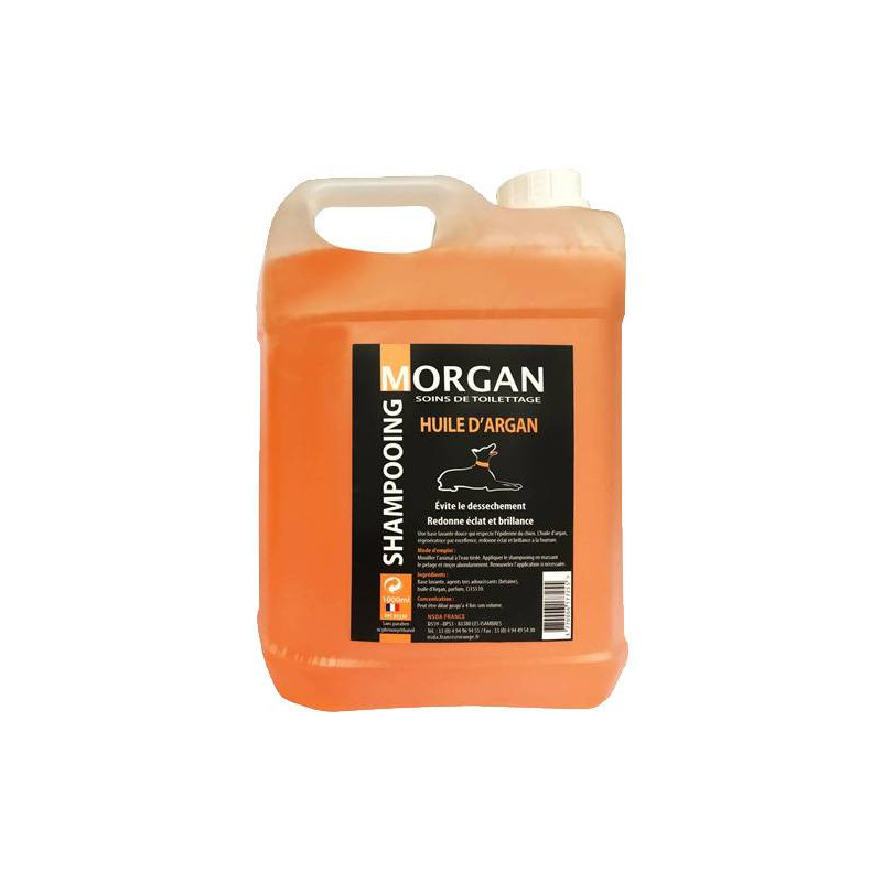 Shampooing à l'huile d'Argan Morgan
