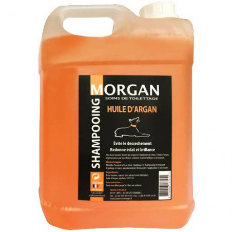 Shampooing à l'huile d'Argan Morgan