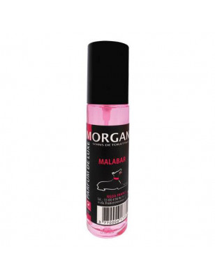 Parfum de luxe Morgan senteur Malabar
