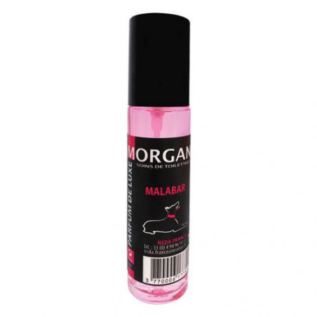 Perfume de lujo Morgan aroma Malabar