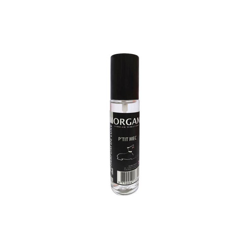 Perfume de lujo Morgan aroma P'tit Mec