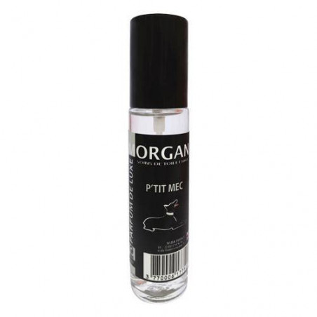 Parfum de luxe Morgan senteur P'tit Mec
