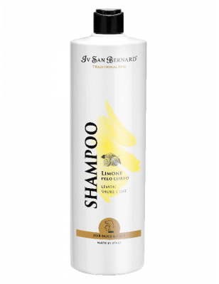 Lemon shampoo, short hair, Iv San Bernard