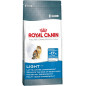 Croquettes Royal Canin Light 40