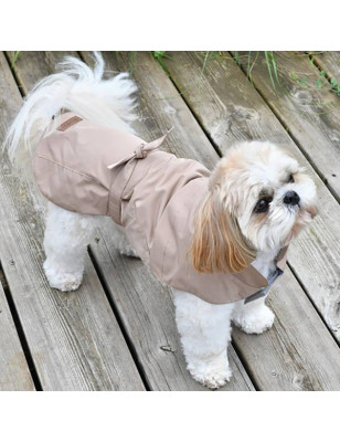 Trenchy Raincoat