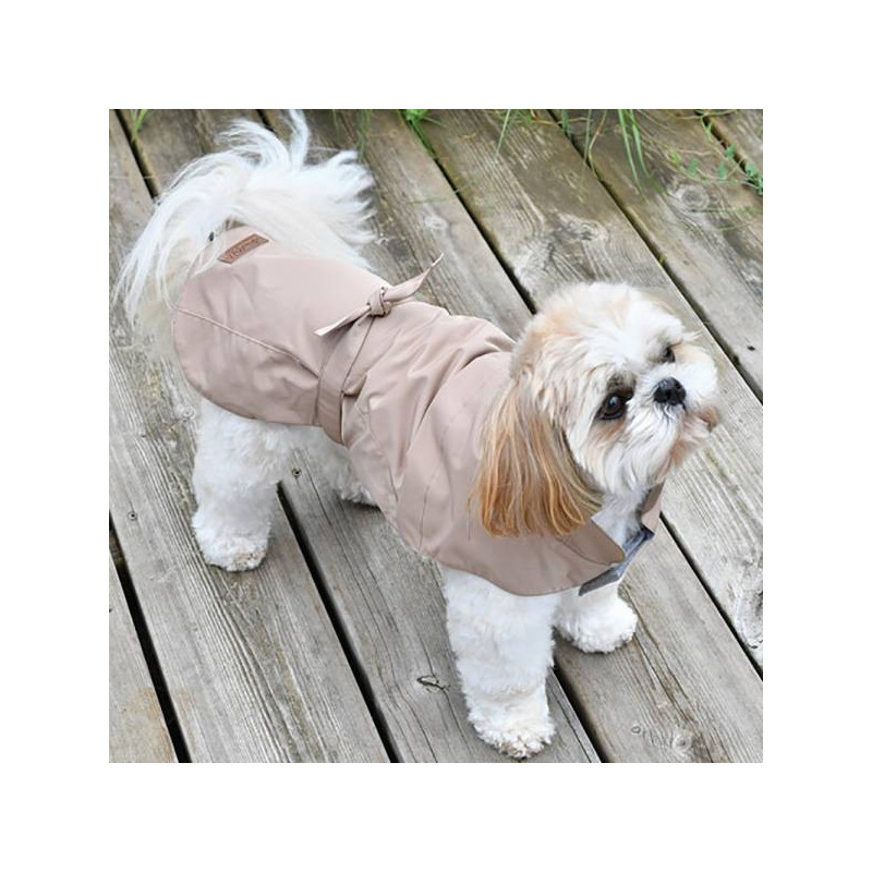 Trenchcoat