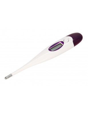 digital thermometer