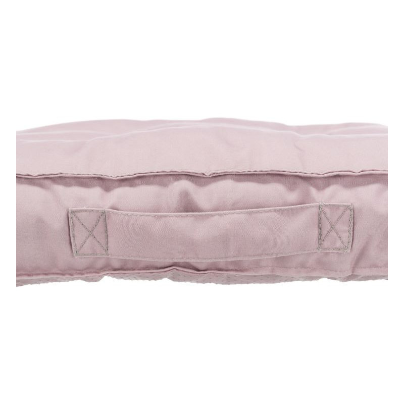 Coussin Felia  Rose