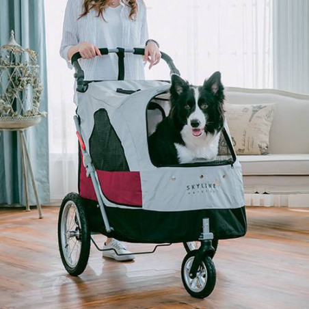 Poussette Aventura XL Gris et rouge