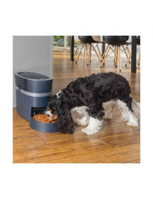 Dispensador de alimentos Petsafe Smart Feed 2.0