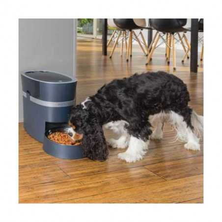 Dispensador de alimentos Petsafe Smart Feed 2.0