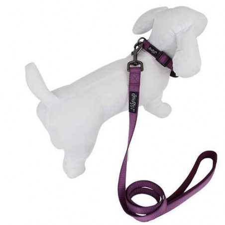 Collier Classica violet Doogy