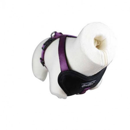 Harnais Classica Violet Doogy