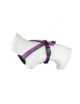 Classica Purple Doogy Harness