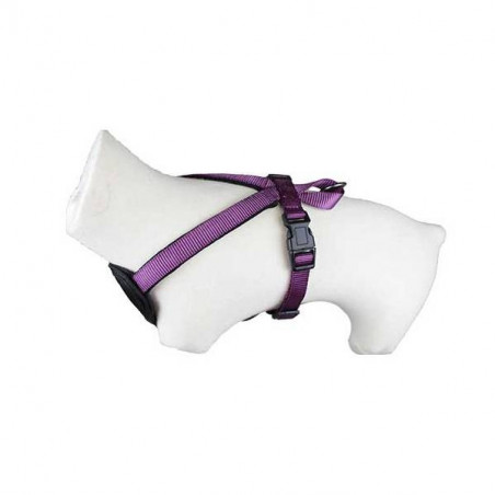 Harnais Classica Violet Doogy