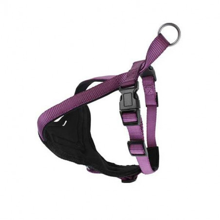Harnais Classica Violet Doogy