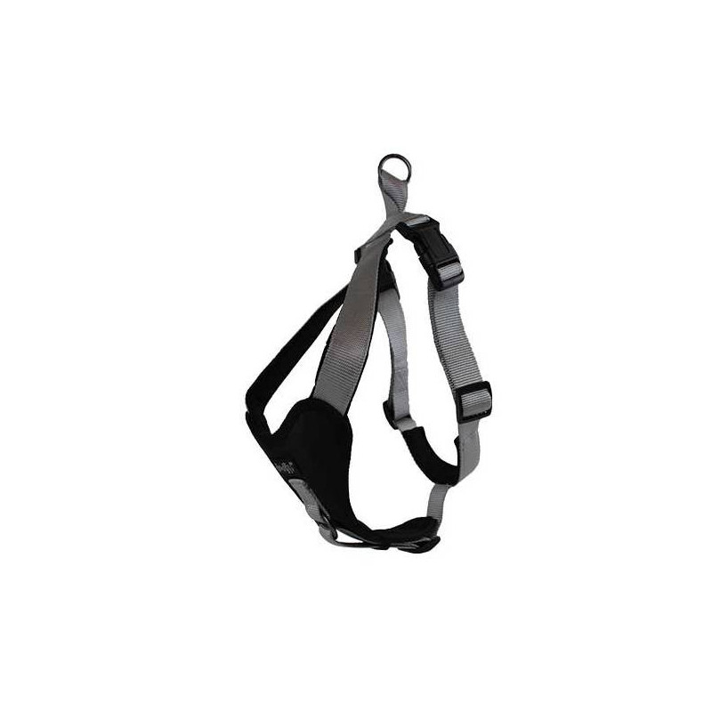 Doogy Grey Classica Geschirr