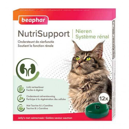 Beaphar NutriSupport chat système rénal
